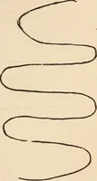 Picture 40 of 97 from Mind-reading and beyond (1885), leaf 120