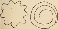 Picture 41 of 97 from Mind-reading and beyond (1885), leaf 120