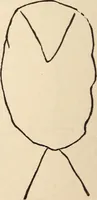 Picture 51 of 97 from Mind-reading and beyond (1885), leaf 125
