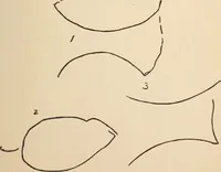 Picture 53 of 97 from Mind-reading and beyond (1885), leaf 126