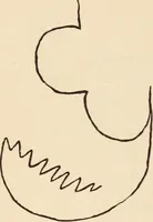 Picture 57 of 97 from Mind-reading and beyond (1885), leaf 129