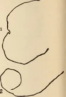 An illustration from Mind-reading and beyond (1885)