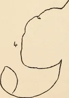 Picture 59 of 97 from Mind-reading and beyond (1885), leaf 129