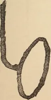 Picture 66 of 97 from Mind-reading and beyond (1885), leaf 142