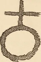 Picture 67 of 97 from Mind-reading and beyond (1885), leaf 143