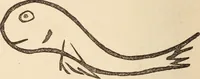 Picture 69 of 97 from Mind-reading and beyond (1885), leaf 143