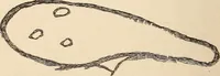 Picture 70 of 97 from Mind-reading and beyond (1885), leaf 143