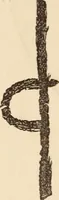 Picture 73 of 97 from Mind-reading and beyond (1885), leaf 145
