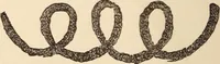 Picture 74 of 97 from Mind-reading and beyond (1885), leaf 145