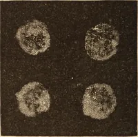 Picture 88 of 97 from Mind-reading and beyond (1885), leaf 161