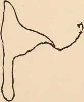 An illustration from Mind-reading and beyond (1885)