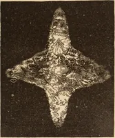 Picture 90 of 97 from Mind-reading and beyond (1885), leaf 162