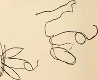 Picture 92 of 97 from Mind-reading and beyond (1885), leaf 163