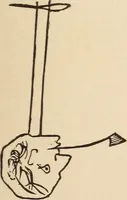 Picture 3 of 97 from Mind-reading and beyond (1885), leaf 90