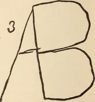 Picture 14 of 97 from Mind-reading and beyond (1885), leaf 97