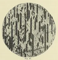 An illustration from The mineral kingdom (1912)