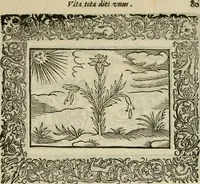 An illustration from Minerua Britanna, or, A garden of heroical deuises, furnished, and adorned with emblemes and impresa's of sundry natures : newly devised, moralized, and published (1612)