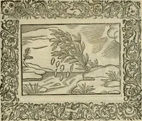 An illustration from Minerua Britanna, or, A garden of heroical deuises, furnished, and adorned with emblemes and impresa's of sundry natures : newly devised, moralized, and published (1612)