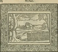Picture 104 of 259 from Minerua Britanna, or, A garden of heroical deuises, furnished, and adorned with emblemes and impresa's of sundry natures : newly devised, moralized, and published (1612), leaf 105