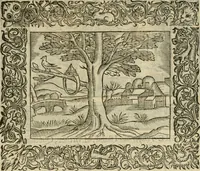 An illustration from Minerua Britanna, or, A garden of heroical deuises, furnished, and adorned with emblemes and impresa's of sundry natures : newly devised, moralized, and published (1612)