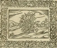 Picture 119 of 259 from Minerua Britanna, or, A garden of heroical deuises, furnished, and adorned with emblemes and impresa's of sundry natures : newly devised, moralized, and published (1612), leaf 120