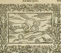An illustration from Minerua Britanna, or, A garden of heroical deuises, furnished, and adorned with emblemes and impresa's of sundry natures : newly devised, moralized, and published (1612)