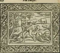 Picture 192 of 259 from Minerua Britanna, or, A garden of heroical deuises, furnished, and adorned with emblemes and impresa's of sundry natures : newly devised, moralized, and published (1612), leaf 181