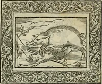 An illustration from Minerua Britanna, or, A garden of heroical deuises, furnished, and adorned with emblemes and impresa's of sundry natures : newly devised, moralized, and published (1612)