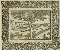 An illustration from Minerua Britanna, or, A garden of heroical deuises, furnished, and adorned with emblemes and impresa's of sundry natures : newly devised, moralized, and published (1612)
