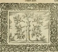 An illustration from Minerua Britanna, or, A garden of heroical deuises, furnished, and adorned with emblemes and impresa's of sundry natures : newly devised, moralized, and published (1612)