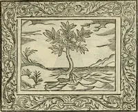 An illustration from Minerua Britanna, or, A garden of heroical deuises, furnished, and adorned with emblemes and impresa's of sundry natures : newly devised, moralized, and published (1612)