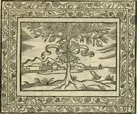 An illustration from Minerua Britanna, or, A garden of heroical deuises, furnished, and adorned with emblemes and impresa's of sundry natures : newly devised, moralized, and published (1612)