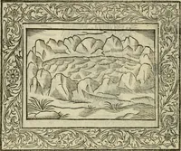 An illustration from Minerua Britanna, or, A garden of heroical deuises, furnished, and adorned with emblemes and impresa's of sundry natures : newly devised, moralized, and published (1612)