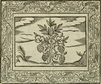 An illustration from Minerua Britanna, or, A garden of heroical deuises, furnished, and adorned with emblemes and impresa's of sundry natures : newly devised, moralized, and published (1612)