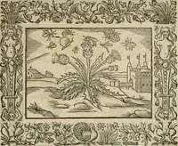 An illustration from Minerua Britanna, or, A garden of heroical deuises, furnished, and adorned with emblemes and impresa's of sundry natures : newly devised, moralized, and published (1612)