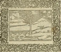 An illustration from Minerua Britanna, or, A garden of heroical deuises, furnished, and adorned with emblemes and impresa's of sundry natures : newly devised, moralized, and published (1612)