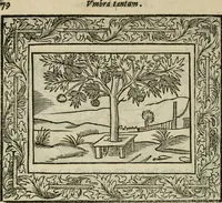 An illustration from Minerua Britanna, or, A garden of heroical deuises, furnished, and adorned with emblemes and impresa's of sundry natures : newly devised, moralized, and published (1612)