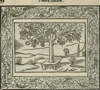 Picture 96 of 256 from Minerua Britanna, or, A garden of heroical deuises, furnished, and adorned with emblemes and impresa's of sundry natures, (1612), leaf 105