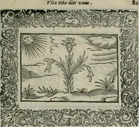 An illustration from Minerua Britanna, or, A garden of heroical deuises, furnished, and adorned with emblemes and impresa's of sundry natures, (1612)