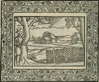 An illustration from Minerua Britanna, or, A garden of heroical deuises, furnished, and adorned with emblemes and impresa's of sundry natures, (1612)