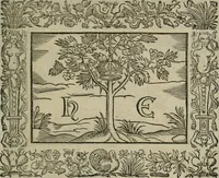 An illustration from Minerua Britanna, or, A garden of heroical deuises, furnished, and adorned with emblemes and impresa's of sundry natures, (1612)