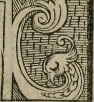 An illustration from Minerua Britanna, or, A garden of heroical deuises, furnished, and adorned with emblemes and impresa's of sundry natures, (1612)