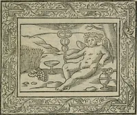 Picture 113 of 256 from Minerua Britanna, or, A garden of heroical deuises, furnished, and adorned with emblemes and impresa's of sundry natures, (1612), leaf 122