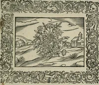 An illustration from Minerua Britanna, or, A garden of heroical deuises, furnished, and adorned with emblemes and impresa's of sundry natures, (1612)
