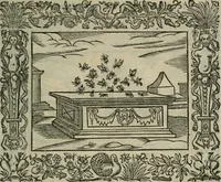 An illustration from Minerua Britanna, or, A garden of heroical deuises, furnished, and adorned with emblemes and impresa's of sundry natures, (1612)