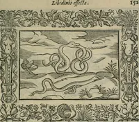 An illustration from Minerua Britanna, or, A garden of heroical deuises, furnished, and adorned with emblemes and impresa's of sundry natures, (1612)