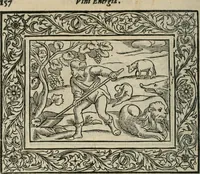 Picture 192 of 256 from Minerua Britanna, or, A garden of heroical deuises, furnished, and adorned with emblemes and impresa's of sundry natures, (1612), leaf 187
