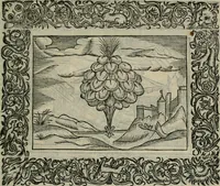Picture 201 of 256 from Minerua Britanna, or, A garden of heroical deuises, furnished, and adorned with emblemes and impresa's of sundry natures, (1612), leaf 194