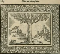 An illustration from Minerua Britanna, or, A garden of heroical deuises, furnished, and adorned with emblemes and impresa's of sundry natures, (1612)
