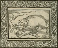 An illustration from Minerua Britanna, or, A garden of heroical deuises, furnished, and adorned with emblemes and impresa's of sundry natures, (1612)